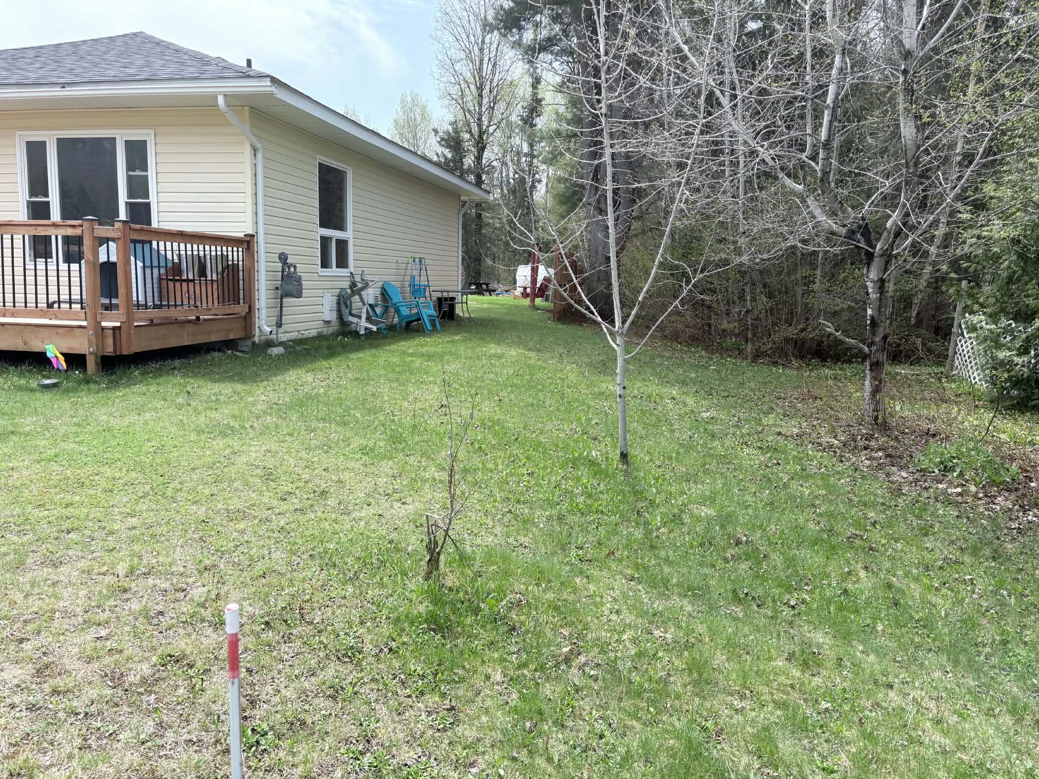 Backyard before PMK installed a wood privacy fence